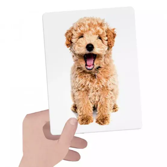 flashcards-tactile-montessori (2).webp