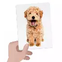 flashcards-tactile-montessori (2).webp