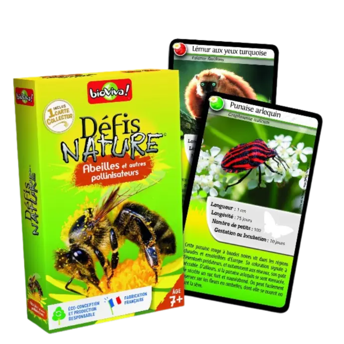 Copie de Copie de Design sans titre (89).webp