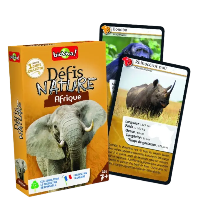 Copie de Copie de Design sans titre (86).webp