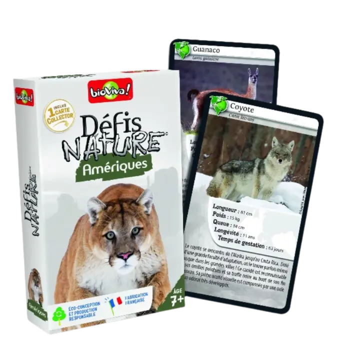 Copie de Copie de Design sans titre (84).webp
