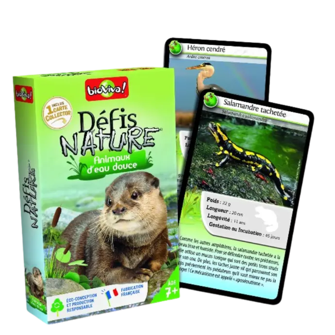 Copie de Copie de Design sans titre (82).webp