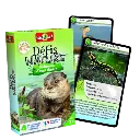 Copie de Copie de Design sans titre (82).webp