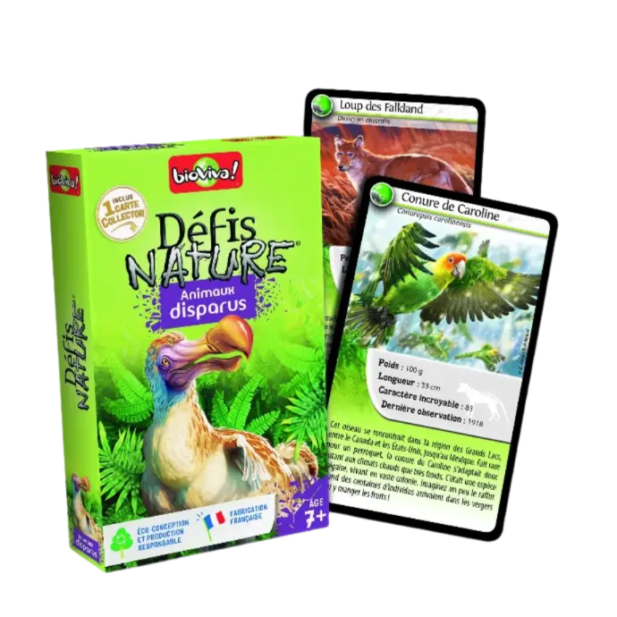 Copie de Copie de Design sans titre (80).webp