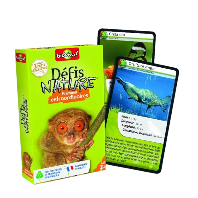 Copie de Copie de Design sans titre (78).webp