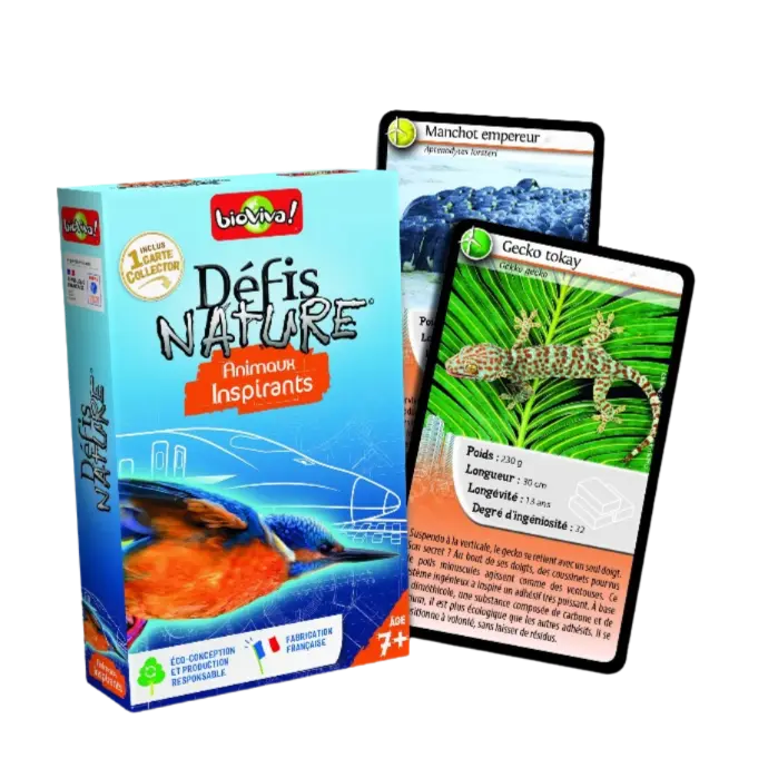 Copie de Copie de Design sans titre (74).webp