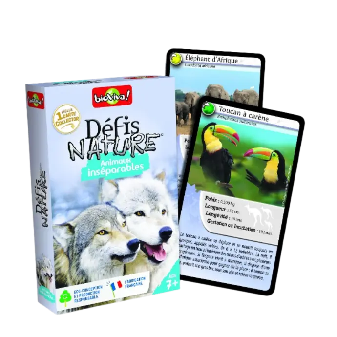 Copie de Copie de Design sans titre (76).webp