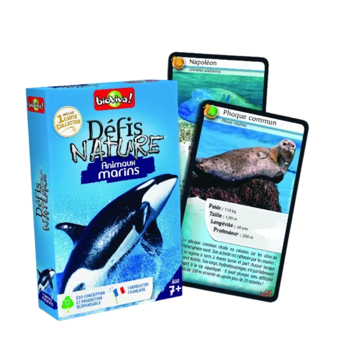 Copie de Copie de Design sans titre (69).webp