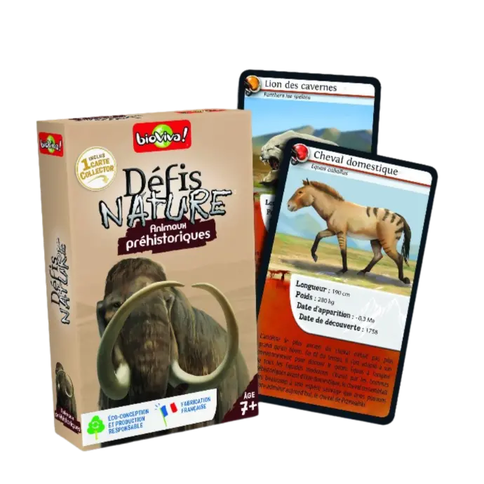 Copie de Copie de Design sans titre (67).webp