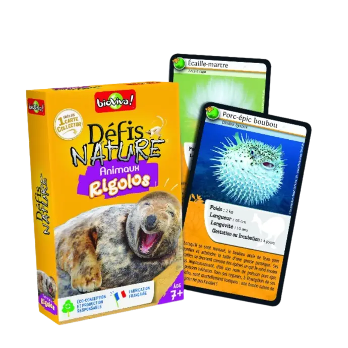 Copie de Copie de Design sans titre (63).webp
