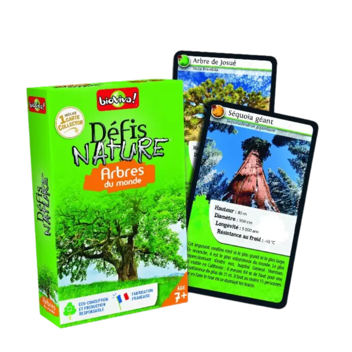 Copie de Copie de Design sans titre - 2025-04-24T092901.950.webp