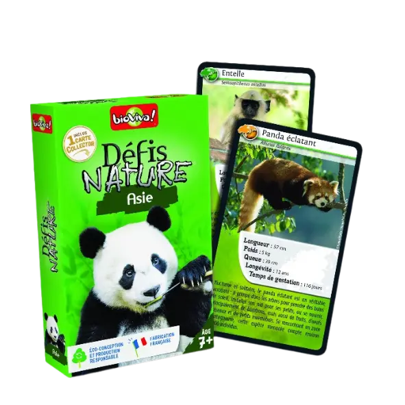 Copie de Copie de Design sans titre (61).webp