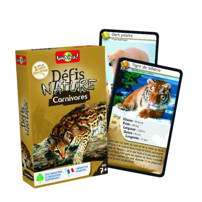 Copie de Copie de Design sans titre (72).webp