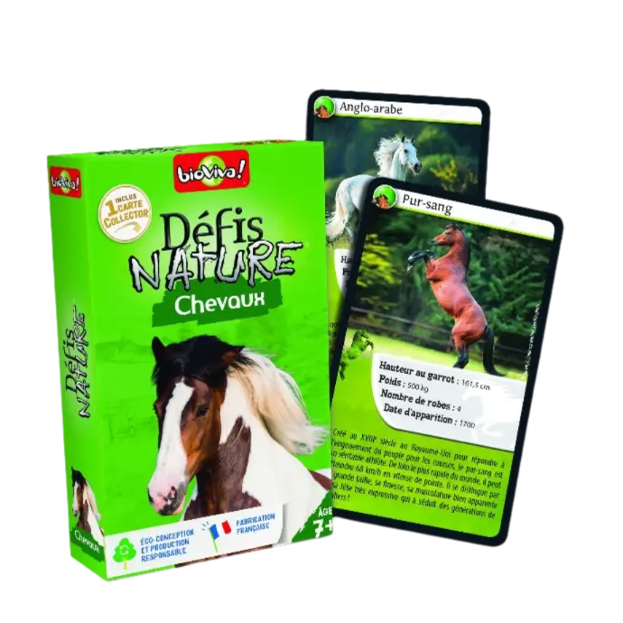 Copie de Copie de Design sans titre (54).webp