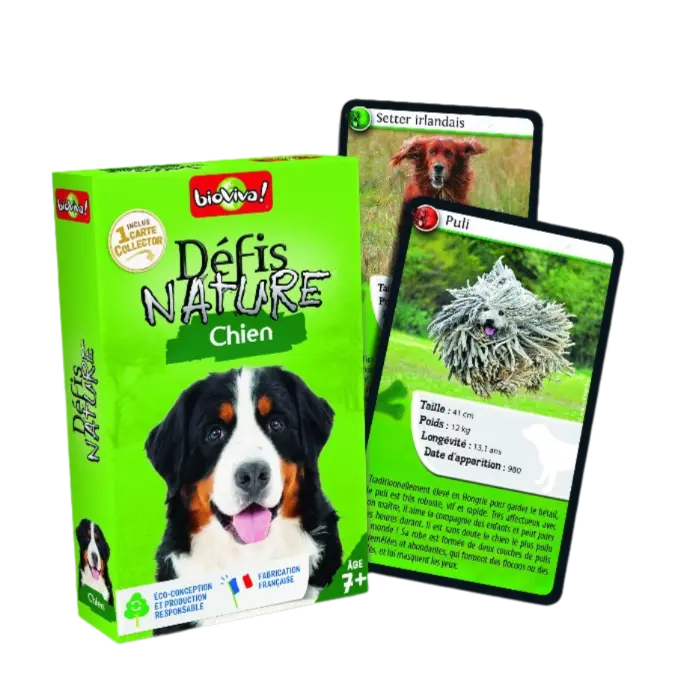 Copie de Copie de Design sans titre (52).webp