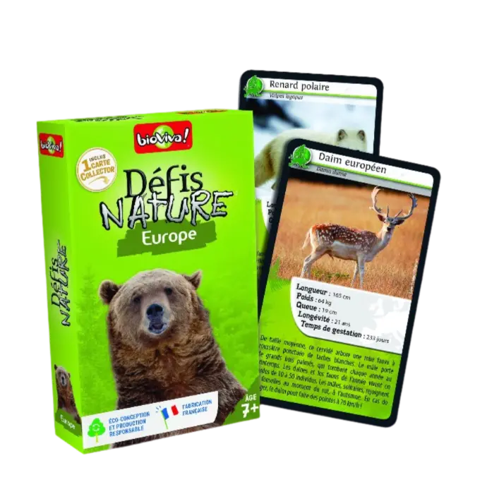 Copie de Copie de Design sans titre (44).webp