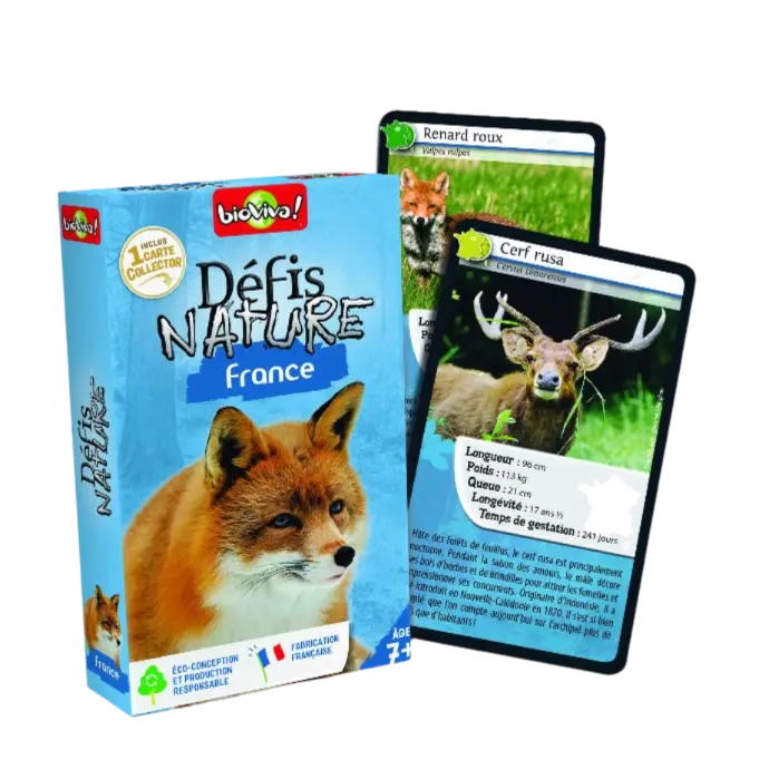 Copie de Copie de Design sans titre (42).webp