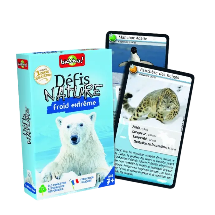 Copie de Copie de Design sans titre (40).webp