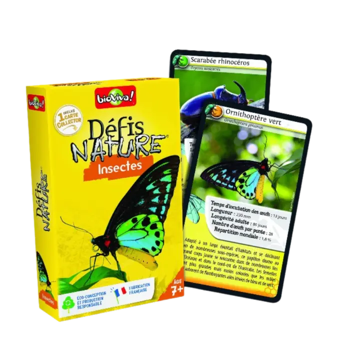 Copie de Copie de Design sans titre (38).webp