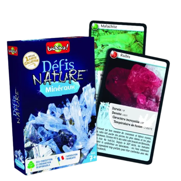 Copie de Copie de Design sans titre - 2025-04-23T160745.212.webp