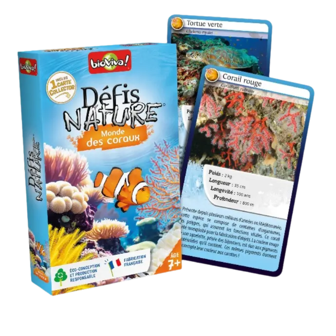 Copie de Copie de Design sans titre (35).webp