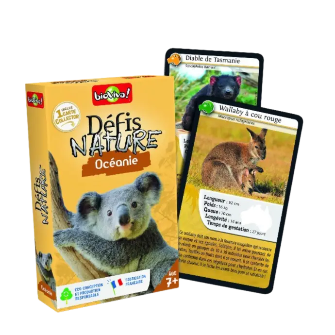 Copie de Copie de Design sans titre (33).webp