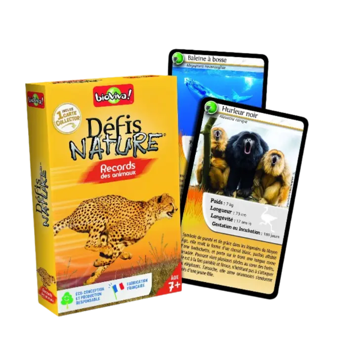 Copie de Copie de Design sans titre (26).webp