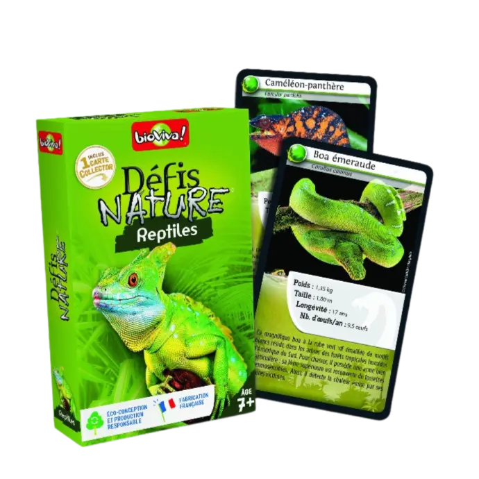 Copie de Copie de Design sans titre (24).webp