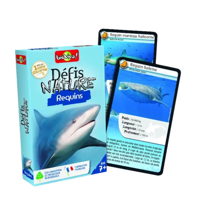 Copie de Copie de Design sans titre (22).webp