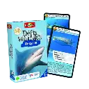 Copie de Copie de Design sans titre (22).webp