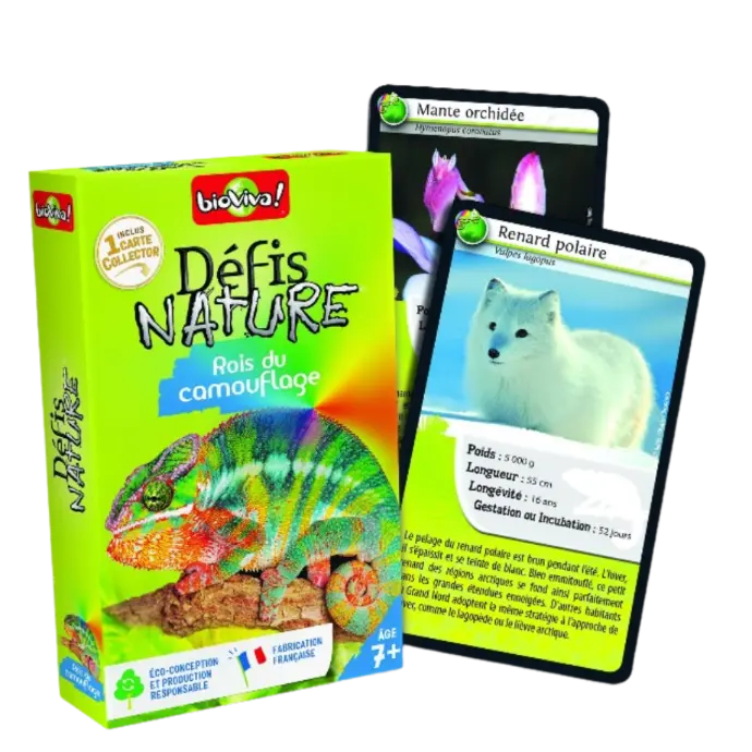 Copie de Copie de Design sans titre (20).webp