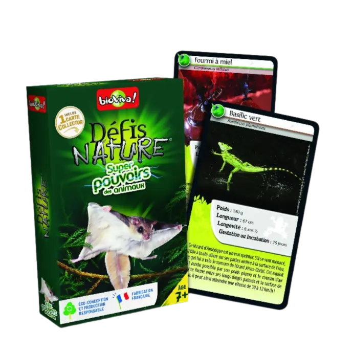 Copie de Copie de Design sans titre (16).webp