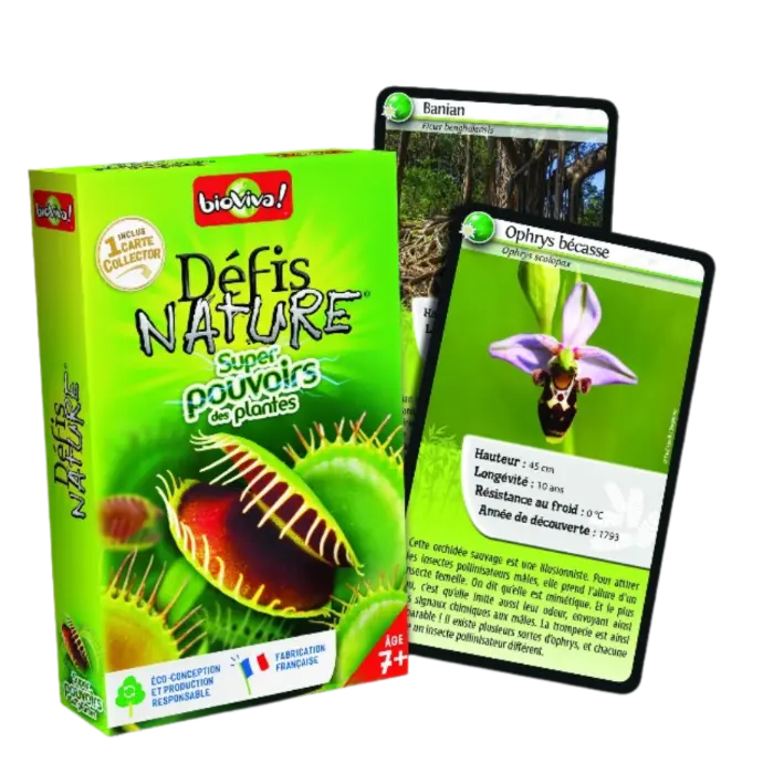 Copie de Copie de Design sans titre (93).webp