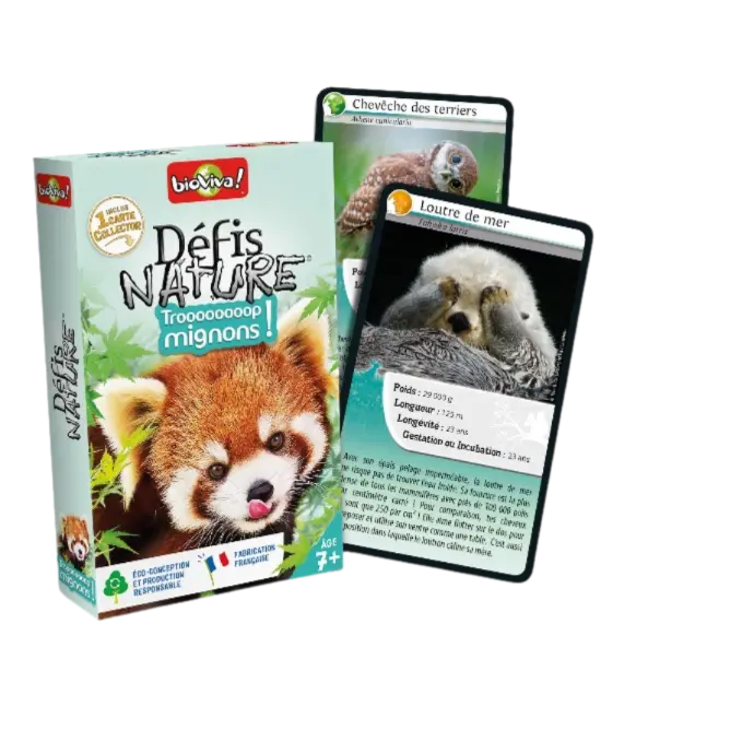 Copie de Copie de Design sans titre (14).webp