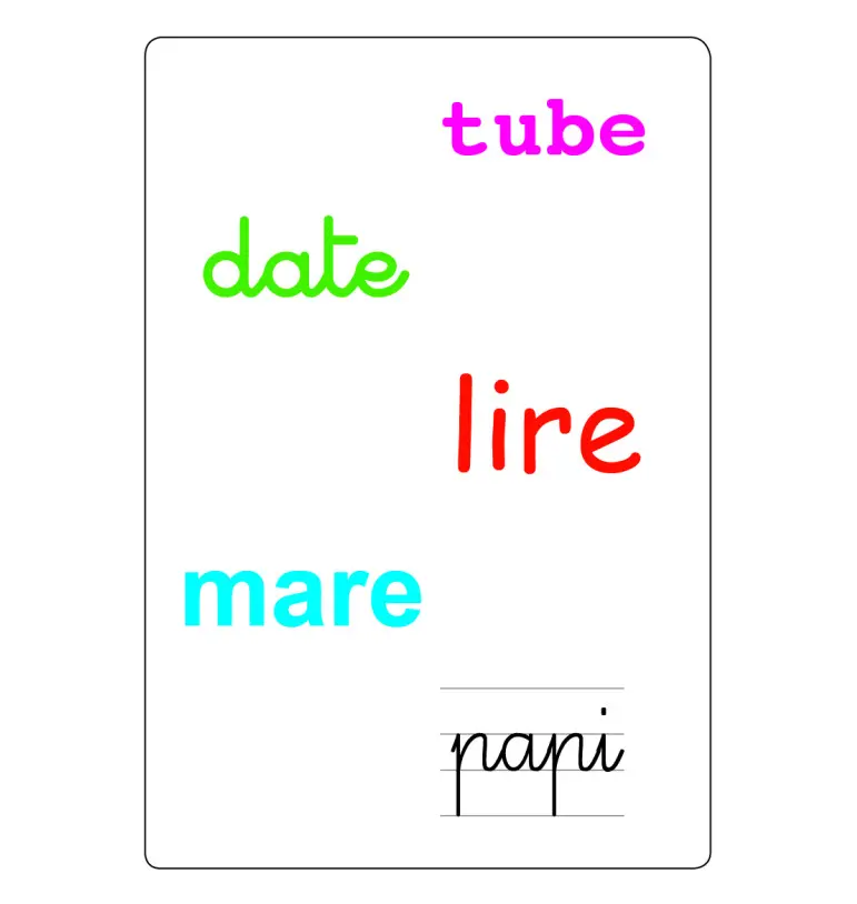 tam-tam-safari-les-mots-simples-cvcv (3).webp