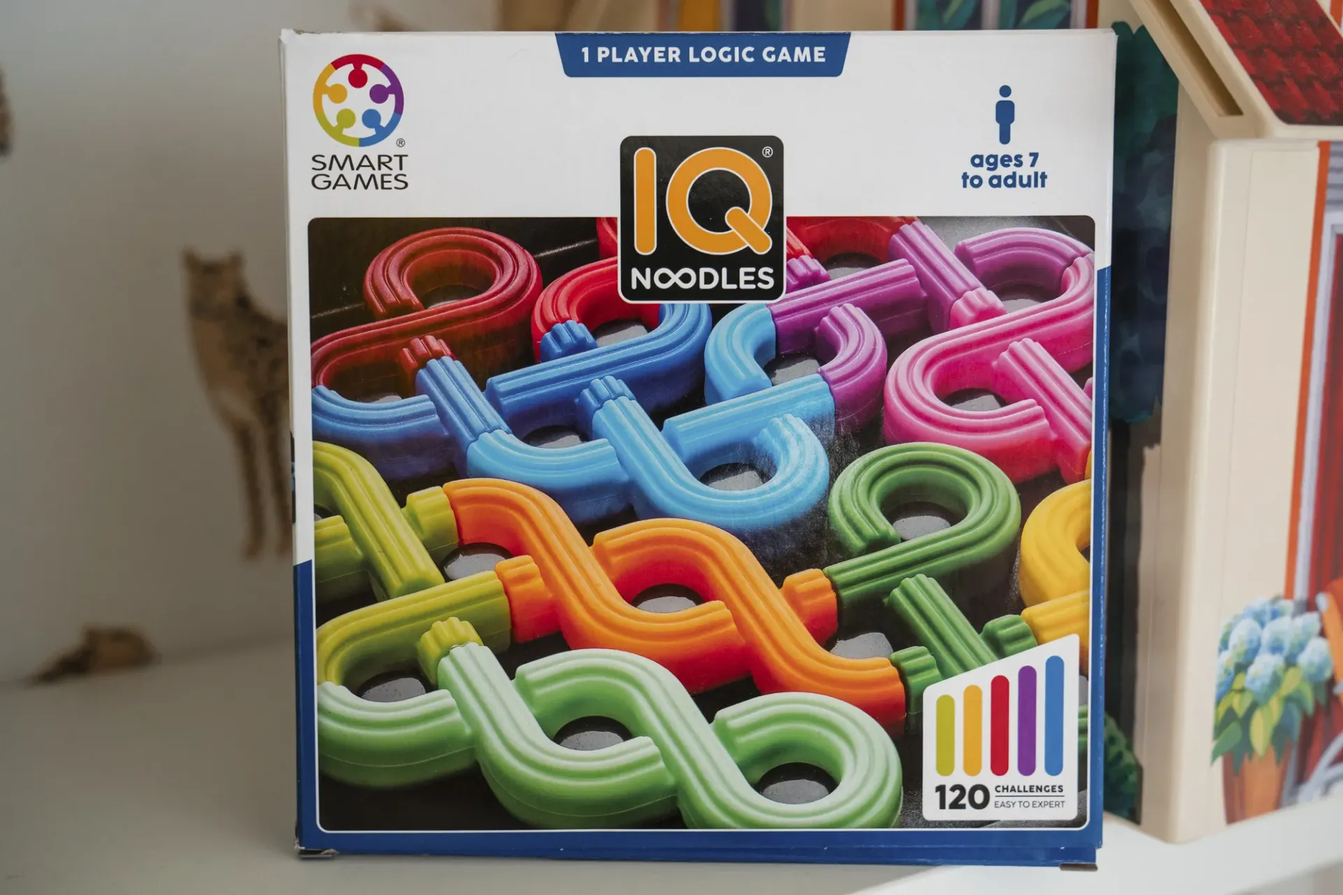Display 8 pcs IQ Noodles